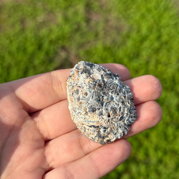 Small Agate Geode Half - Picture 4 of 5